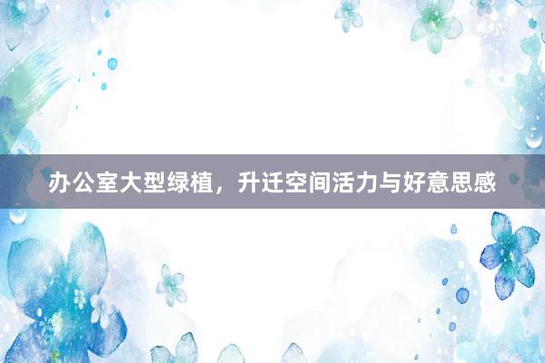 办公室大型绿植，升迁空间活力与好意思感