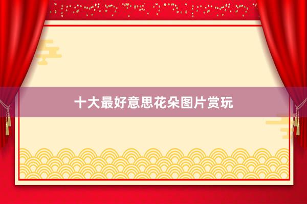 十大最好意思花朵图片赏玩