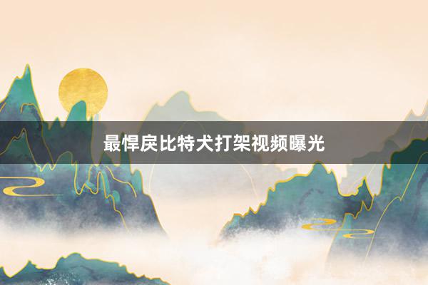 最悍戾比特犬打架视频曝光