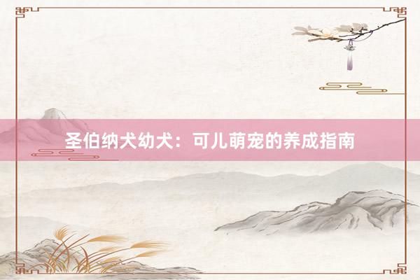 圣伯纳犬幼犬：可儿萌宠的养成指南